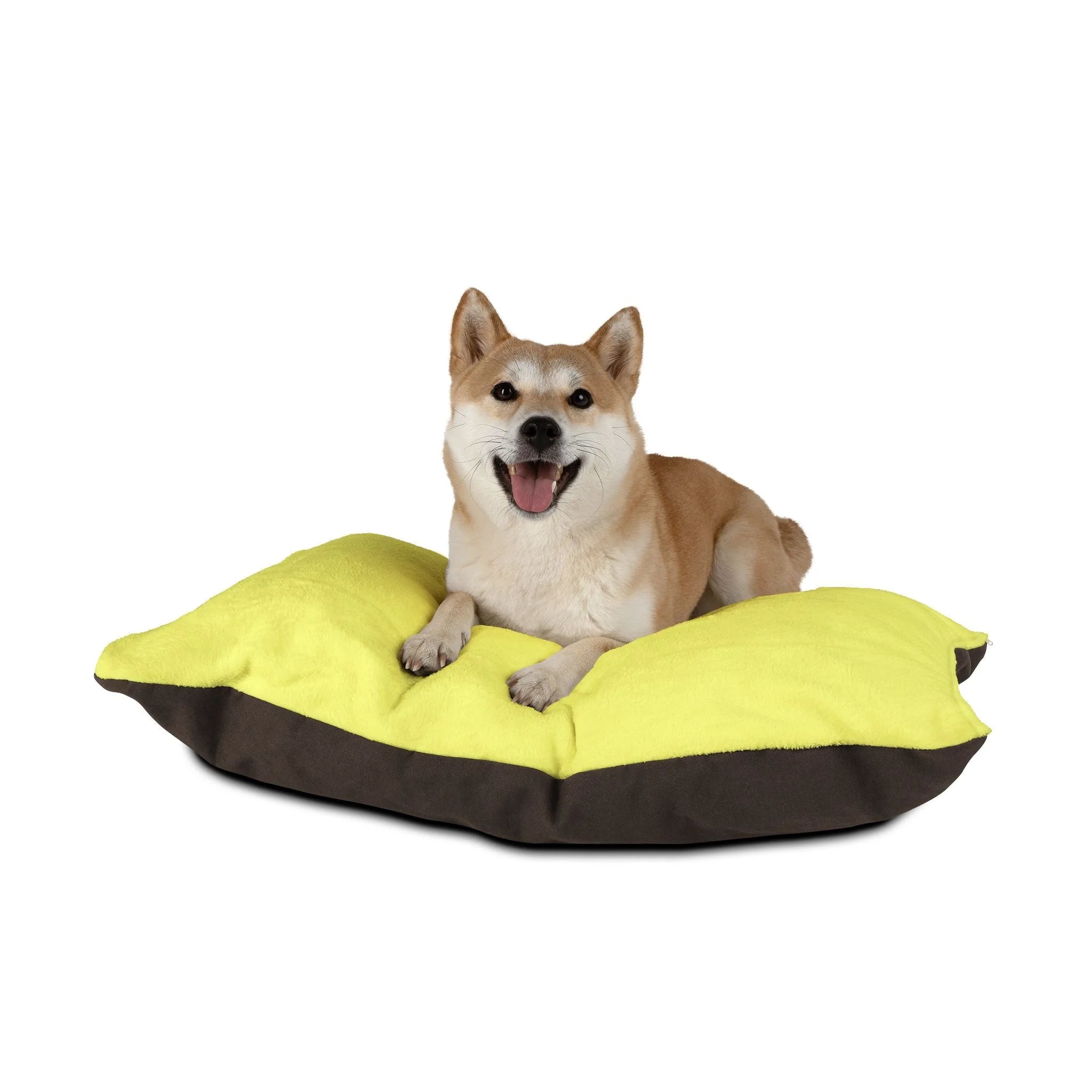 Buy The Best By Artsulli x Color Printify - Pet Bed - 2026
