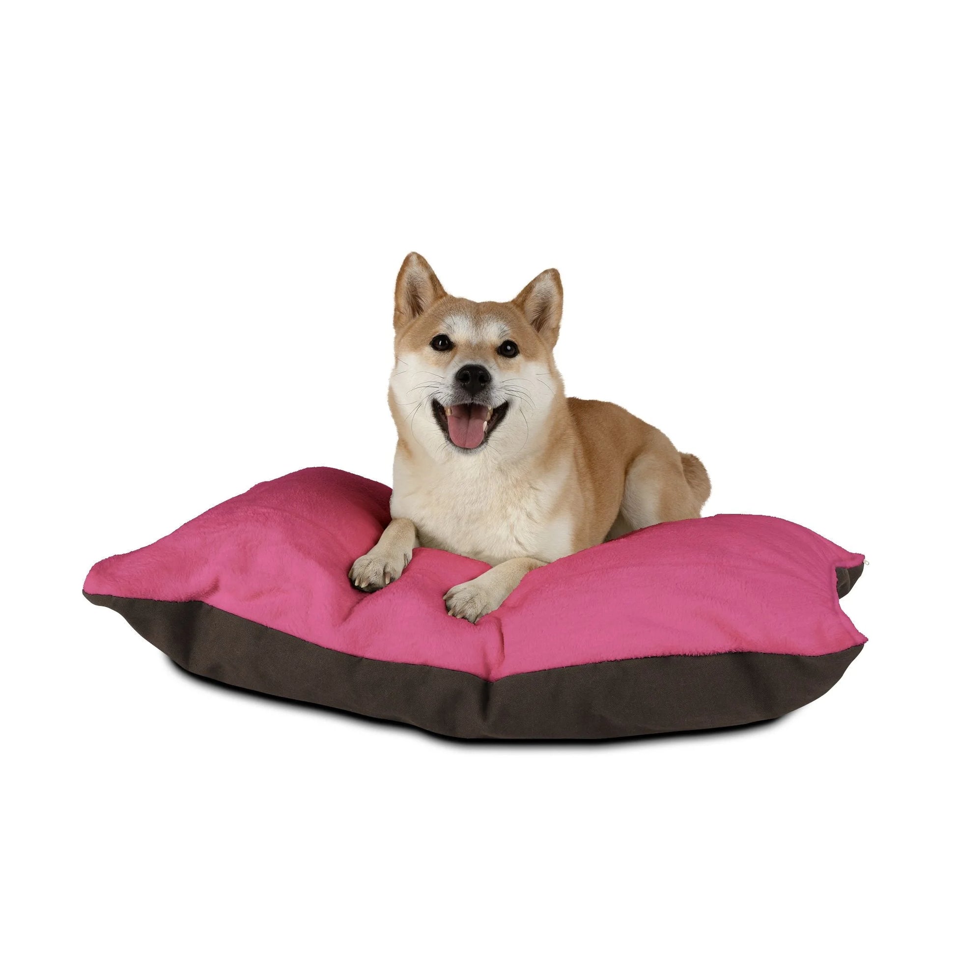 Buy The Best By Artsulli x Color Printify - Pet Bed - 2026