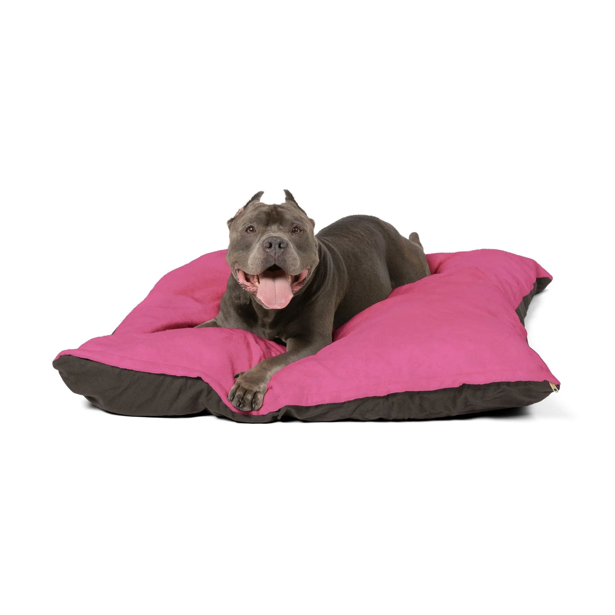 Buy The Best By Artsulli x Color Printify - Pet Bed - 2026