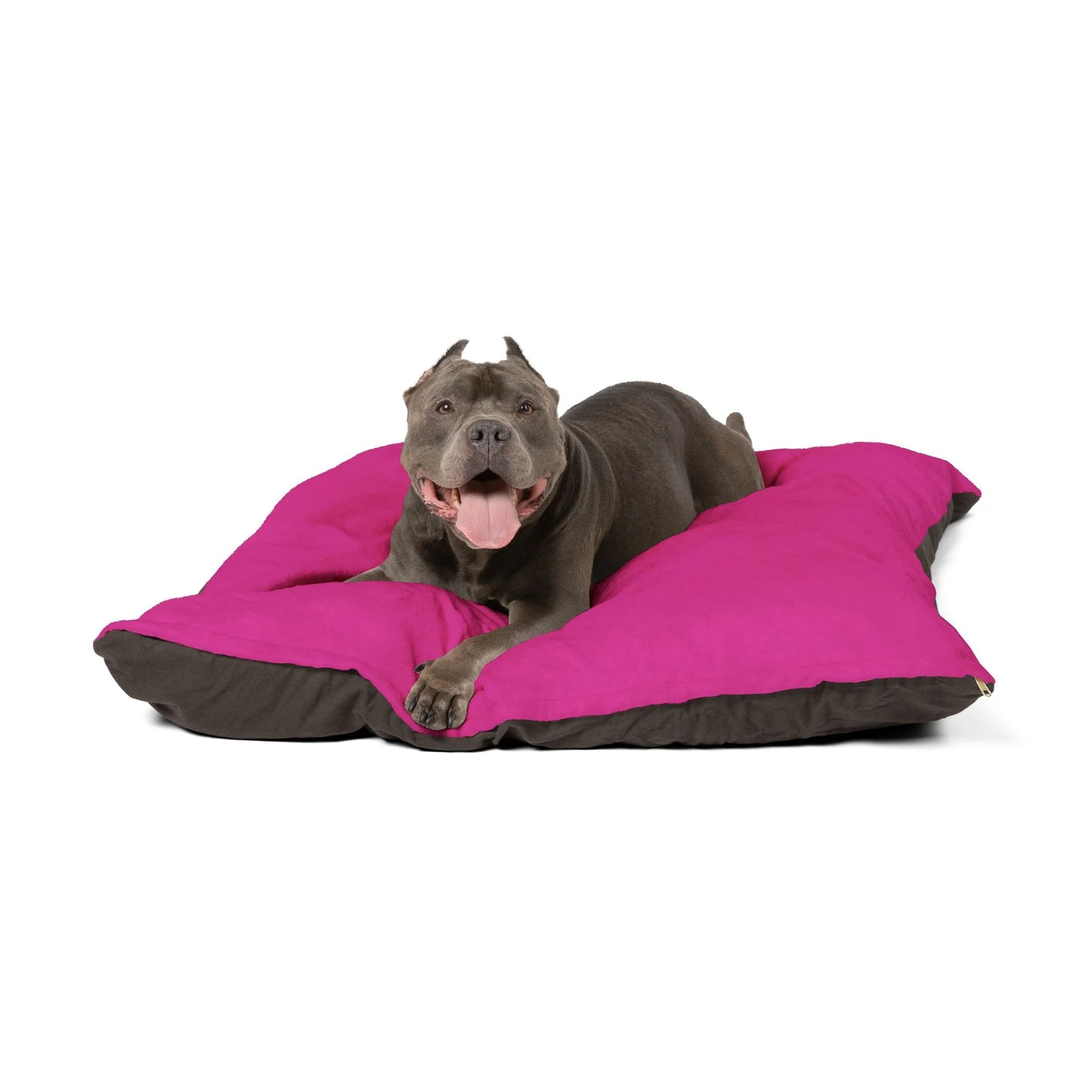 Buy The Best By Artsulli x Color Printify - Pet Bed - 2026