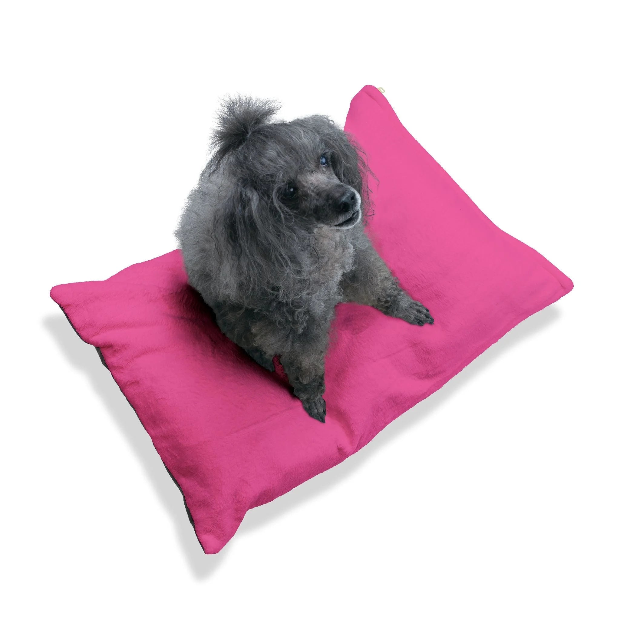 Buy The Best By Artsulli x Color Printify - Pet Bed - 2026