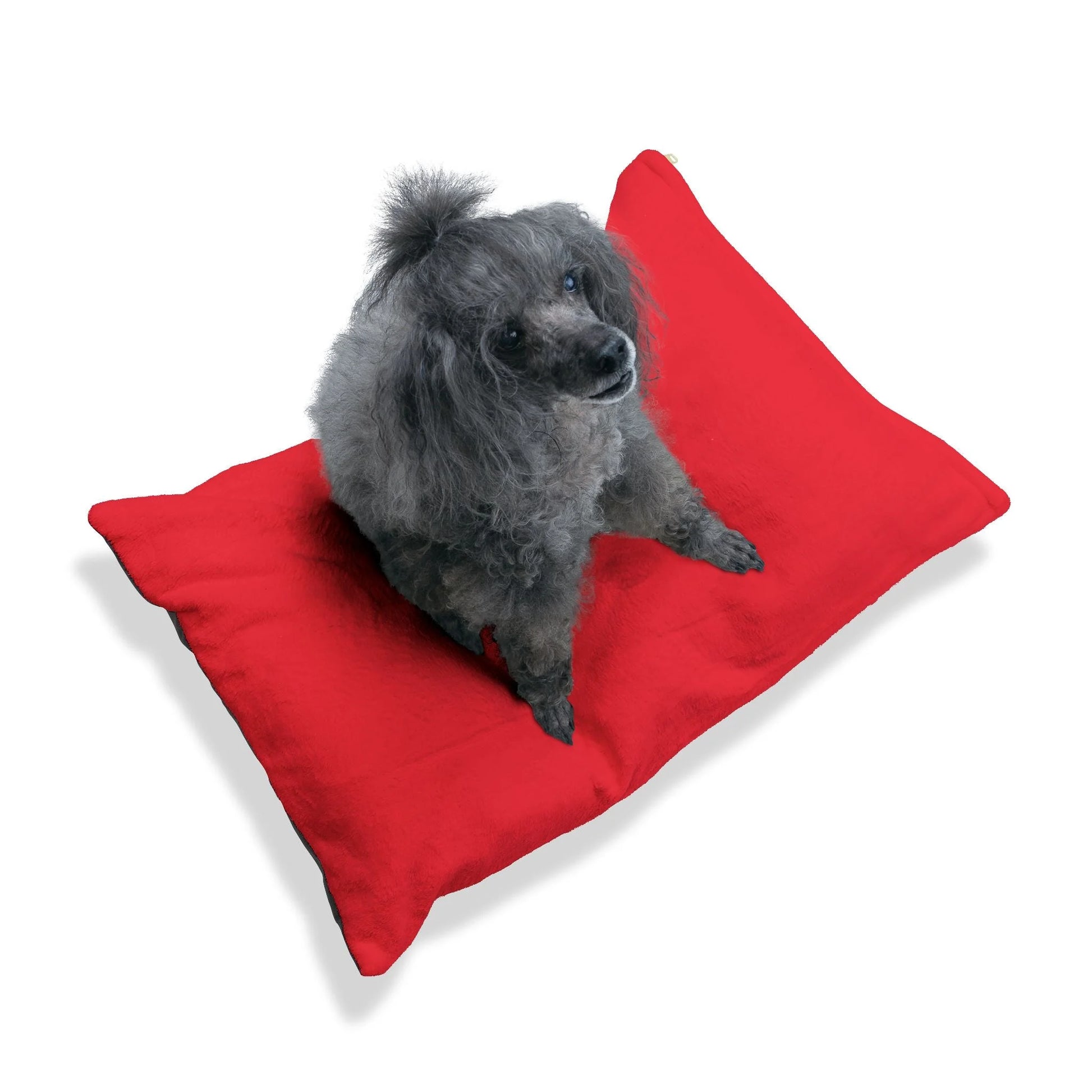 Buy The Best By Artsulli x Color Printify - Pet Bed - 2026