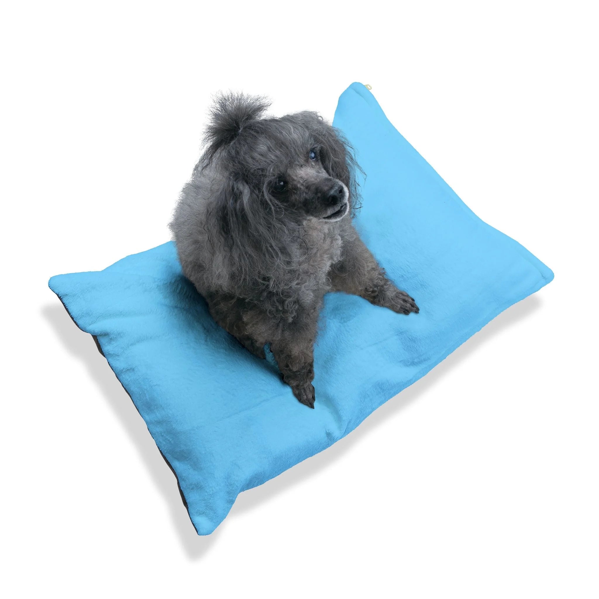 Buy The Best By Artsulli x Color Printify - Pet Bed - 2026