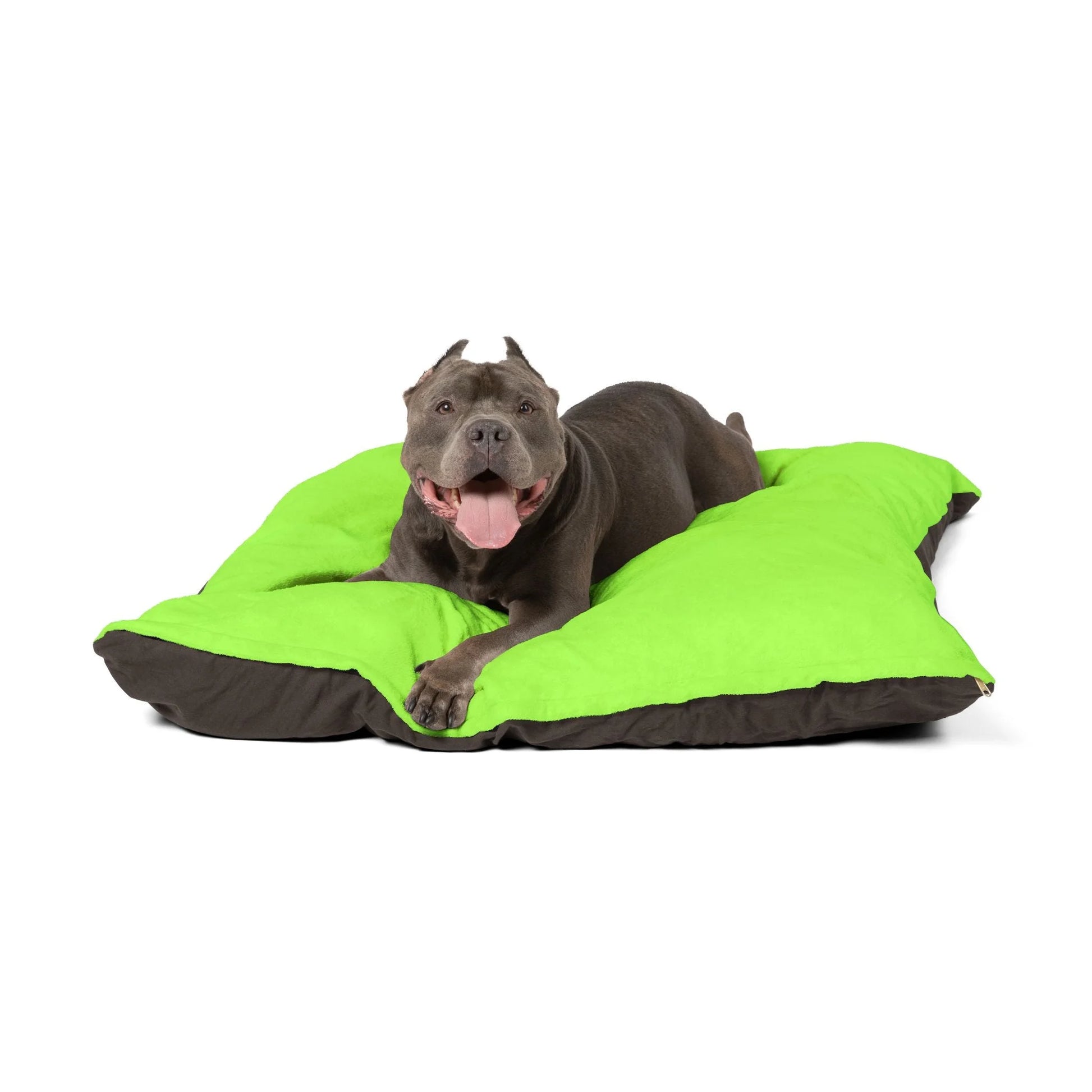 Buy The Best By Artsulli x Color Printify - Pet Bed - 2026