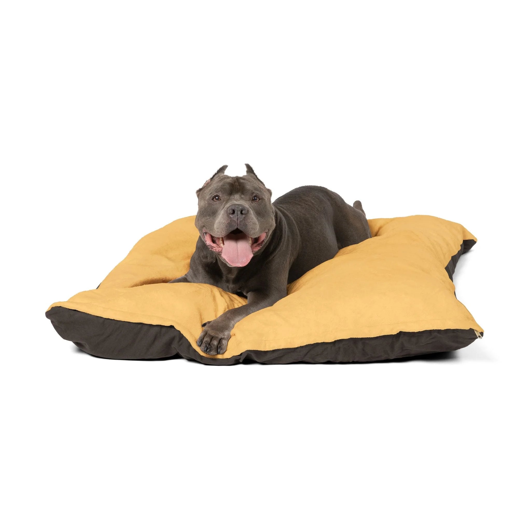 Buy The Best By Artsulli x Color Printify - Pet Bed - 2026