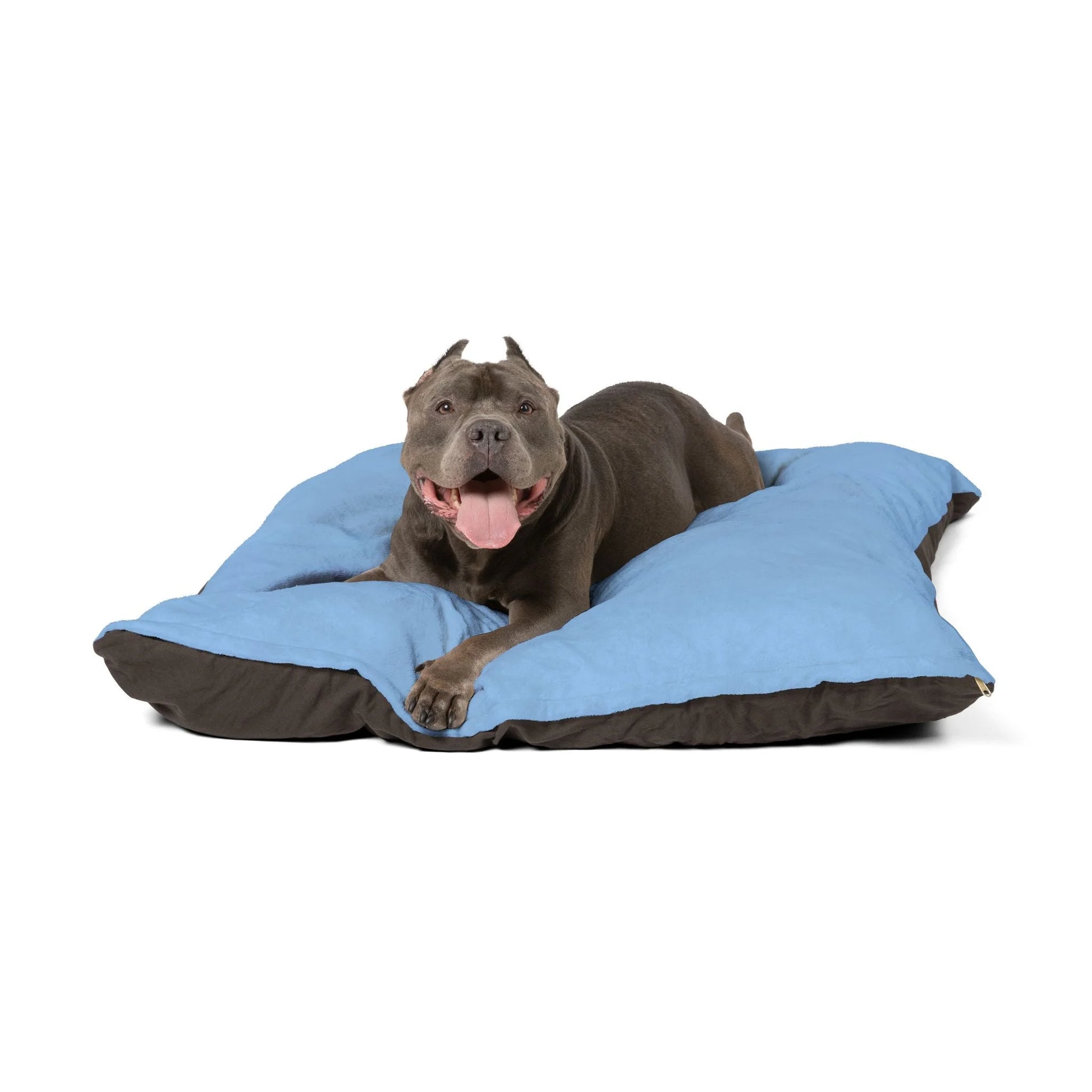 Buy The Best By Artsulli x Color Printify - Pet Bed - 2026