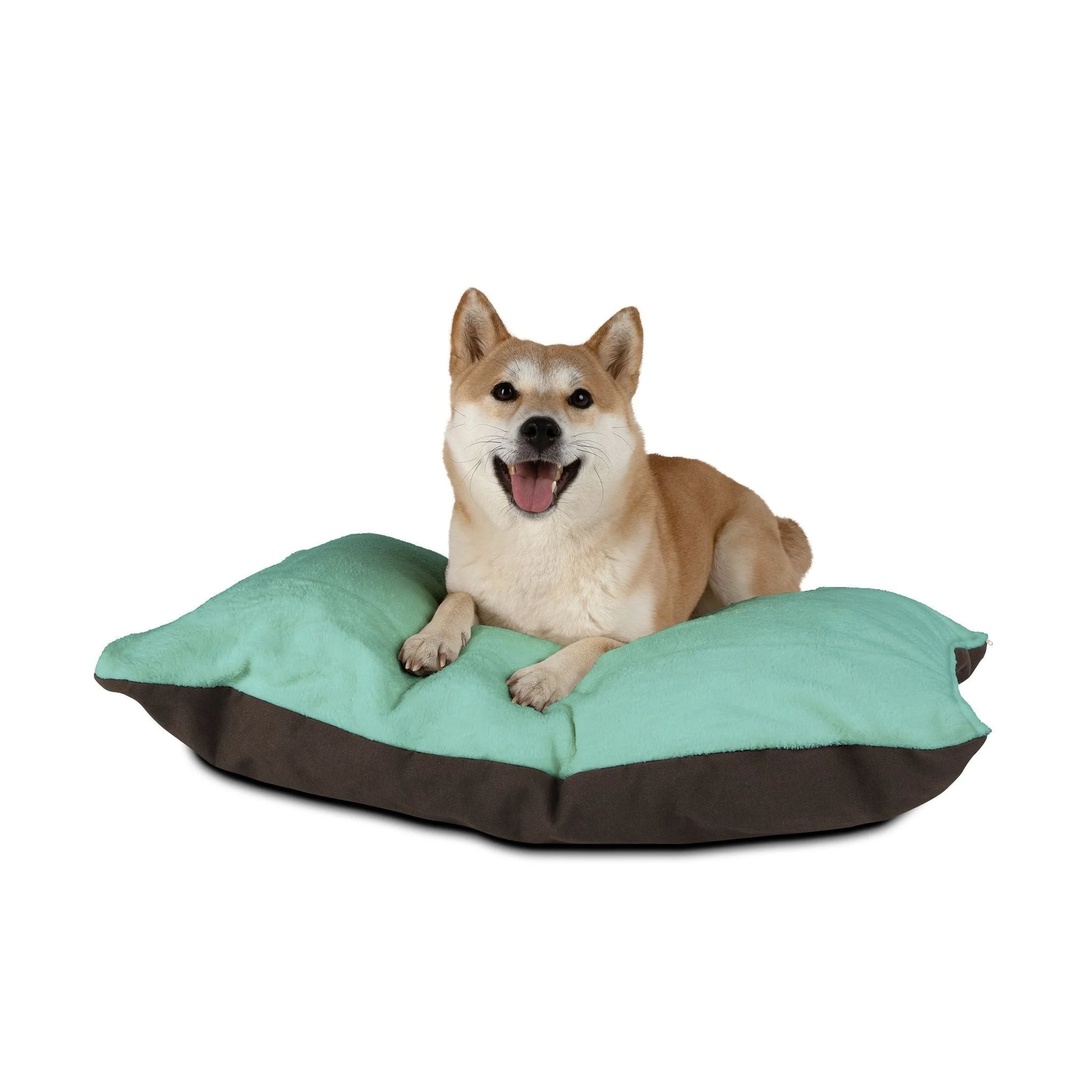 Buy The Best By Artsulli x Color Printify - Pet Bed - 2026