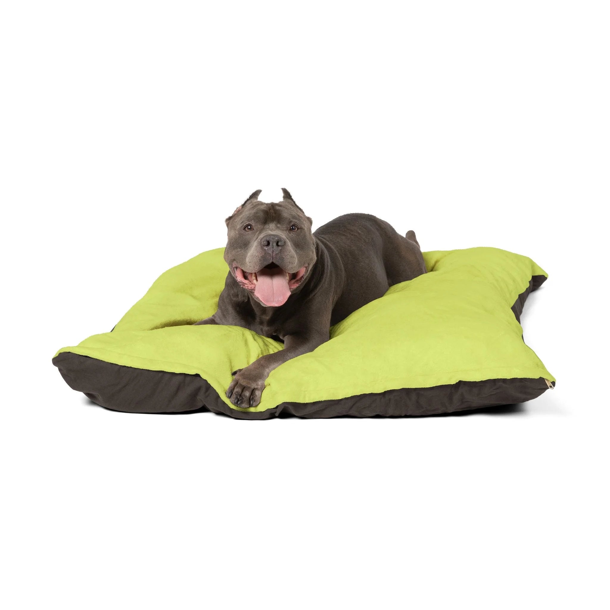 Buy The Best By Artsulli x Color Printify - Pet Bed - 2026