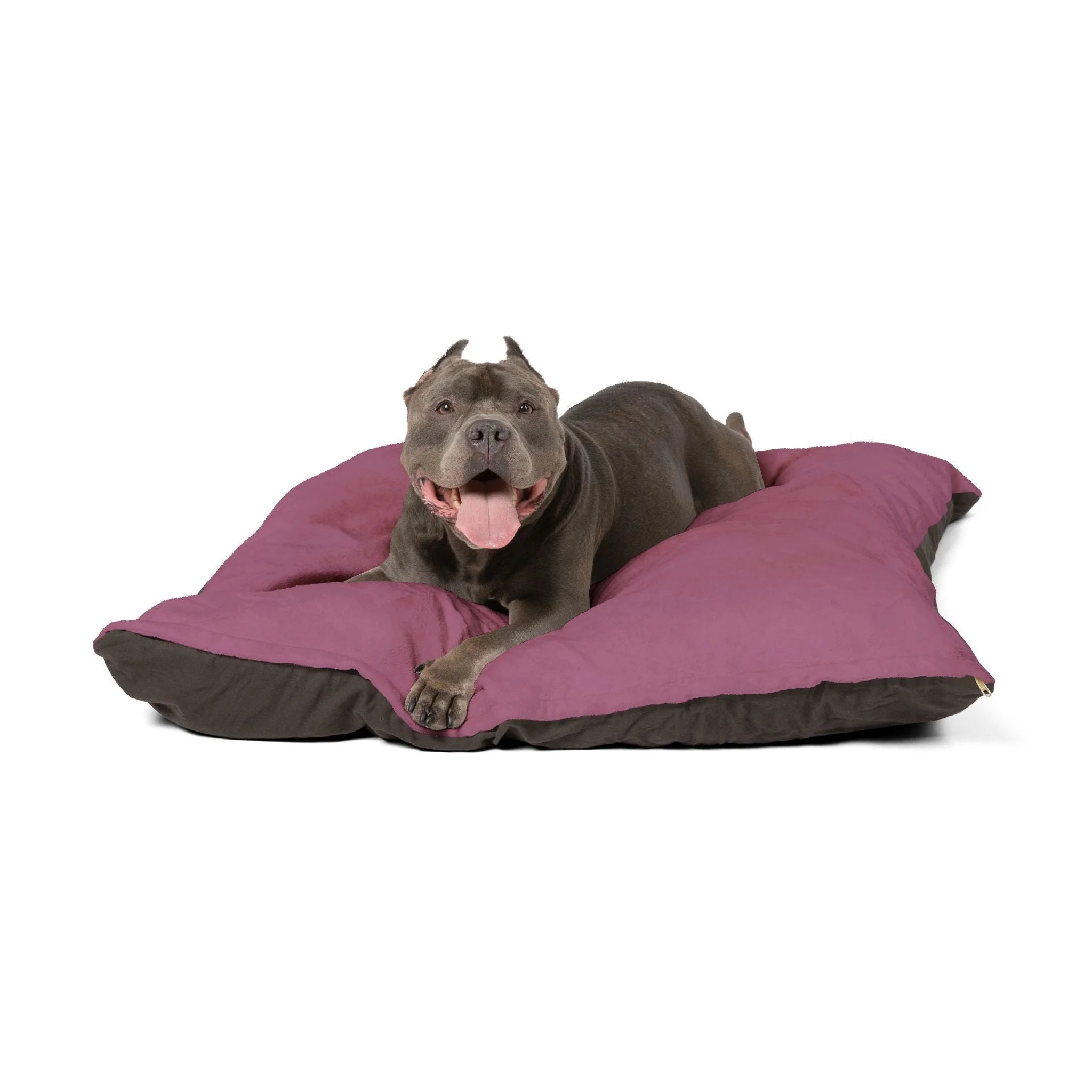 Buy The Best By Printify - Pet Bed - 2026
