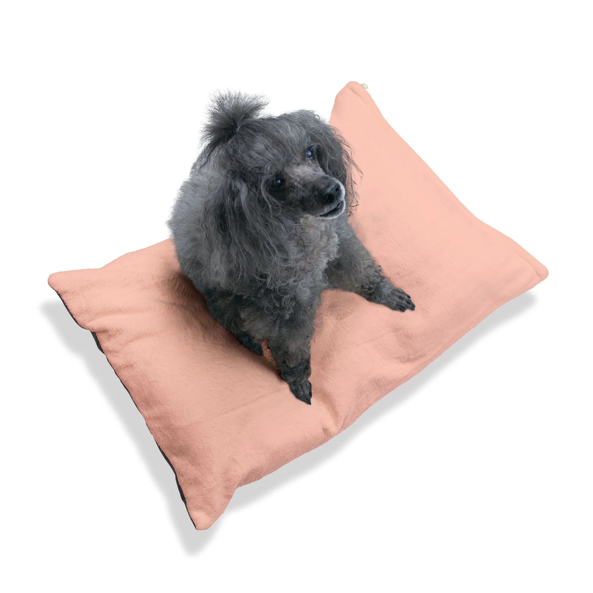 Buy The Best By Artsulli x Color Printify - Pet Bed - 2026