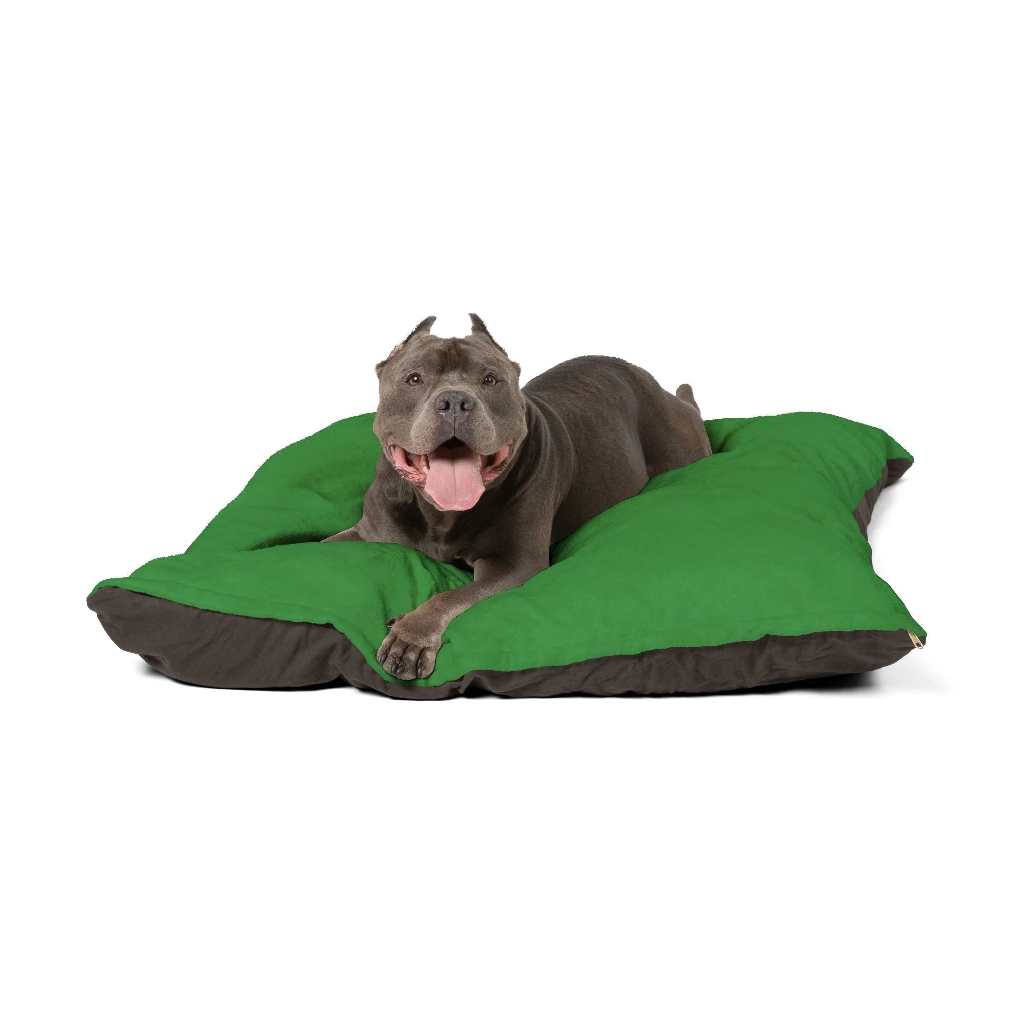 Buy The Best By Artsulli x Color Printify - Pet Bed - 2026