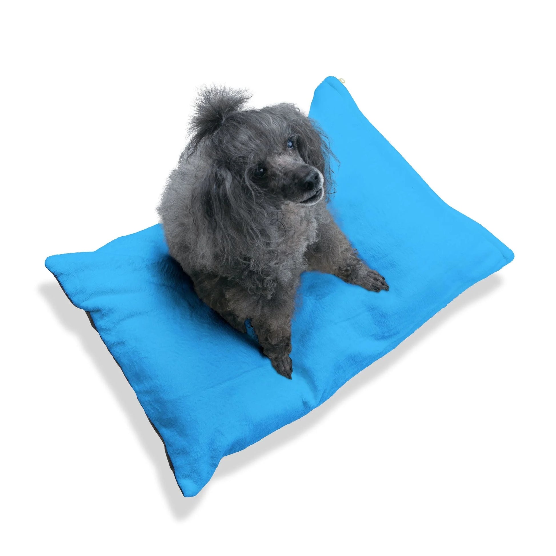 Buy The Best By Artsulli x Color Printify - Pet Bed - 2026