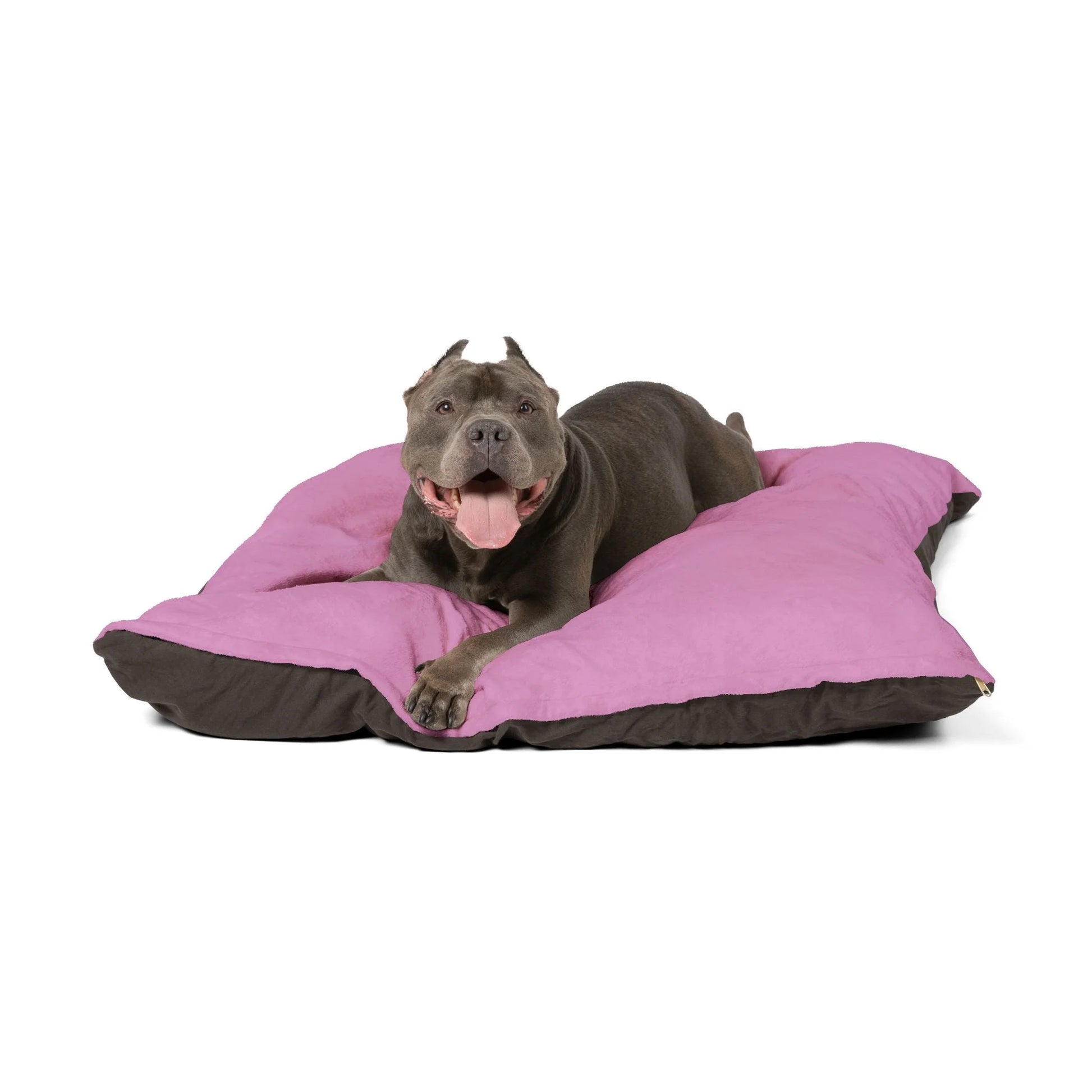 Buy The Best By Artsulli x Color Printify - Pet Bed - 2026