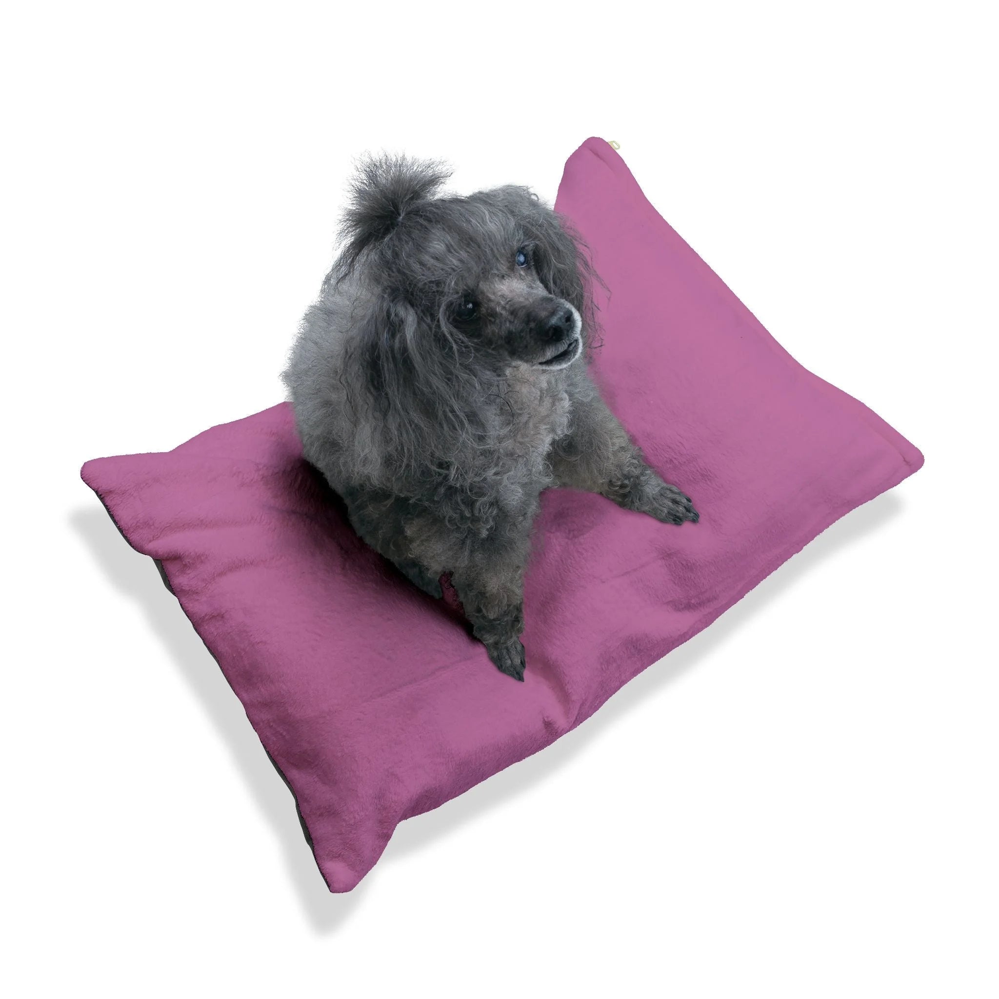 Buy The Best By Artsulli x Color Printify - Pet Bed - 2026