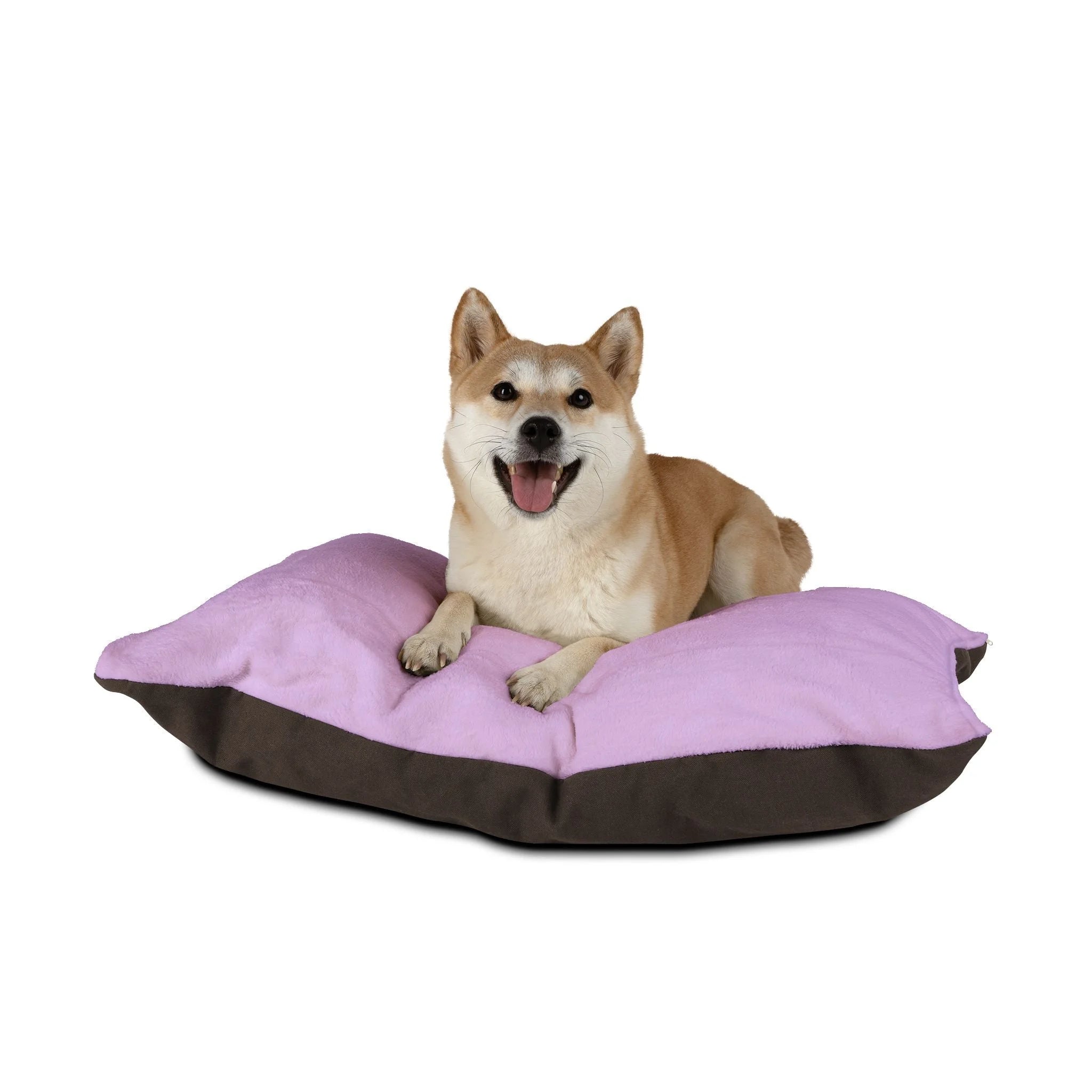 Buy The Best By Artsulli x Color Printify - Pet Bed - 2026