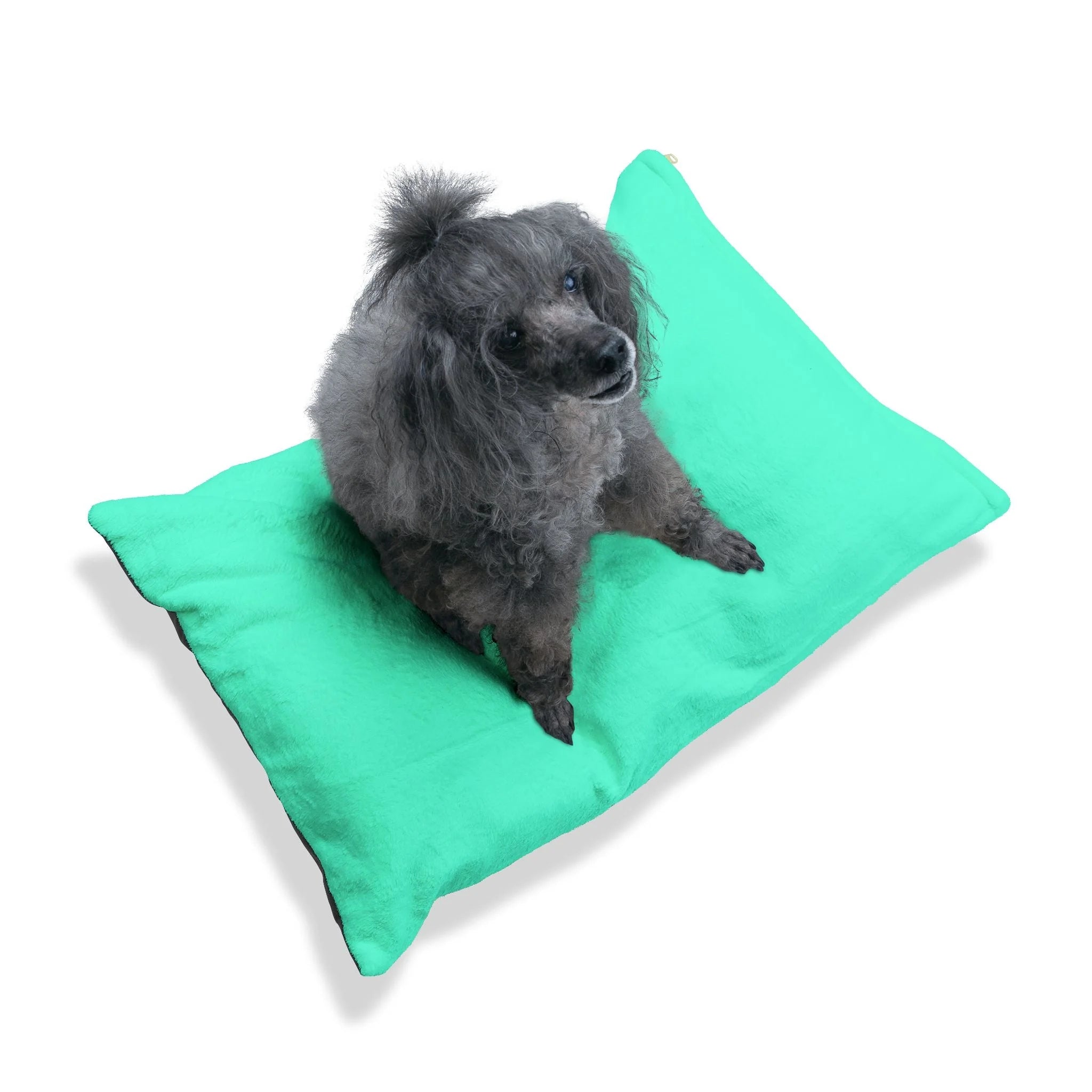 Buy The Best By Artsulli x Color Printify - Pet Bed - 2026