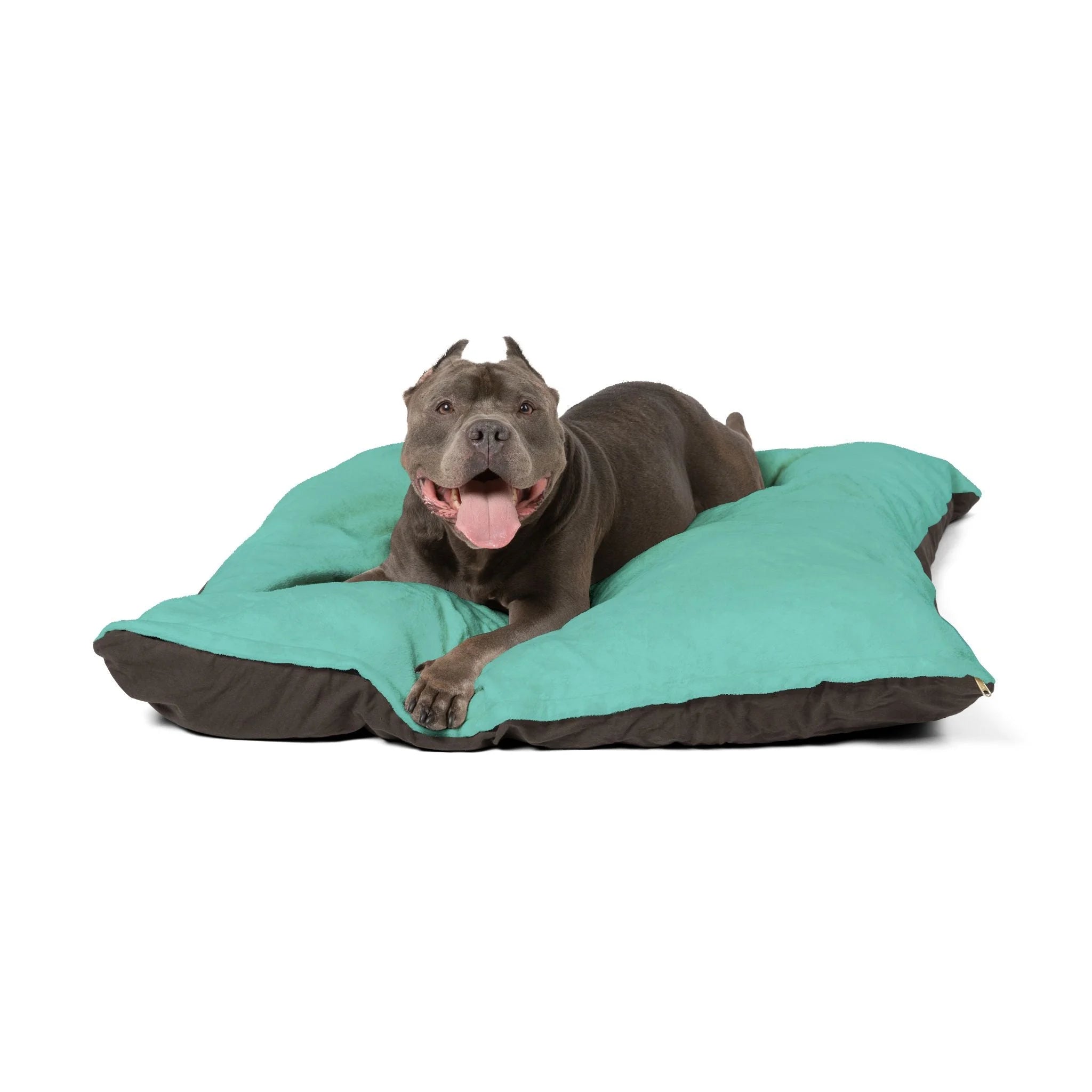 Buy The Best By Artsulli x Color Printify - Pet Bed - 2026