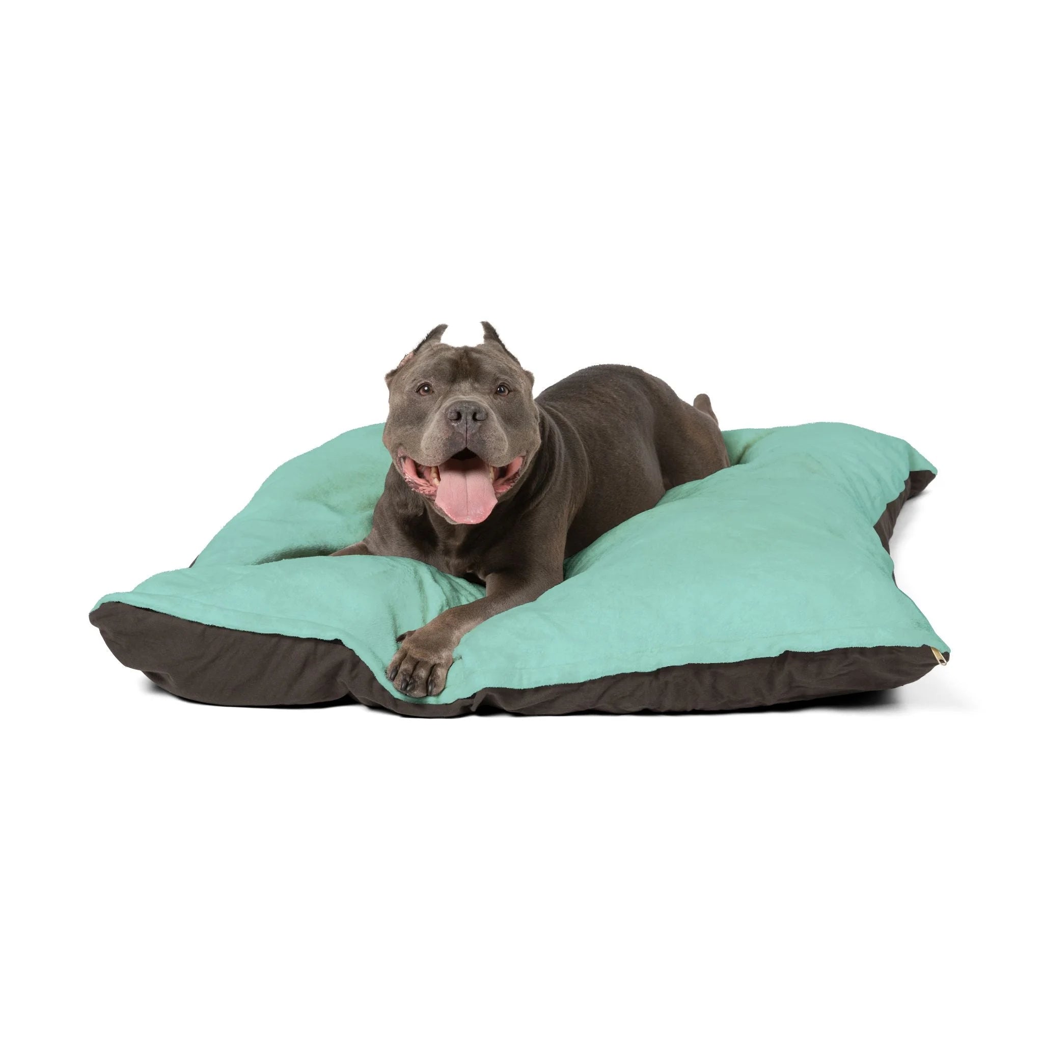 Buy The Best By Artsulli x Color Printify - Pet Bed - 2026