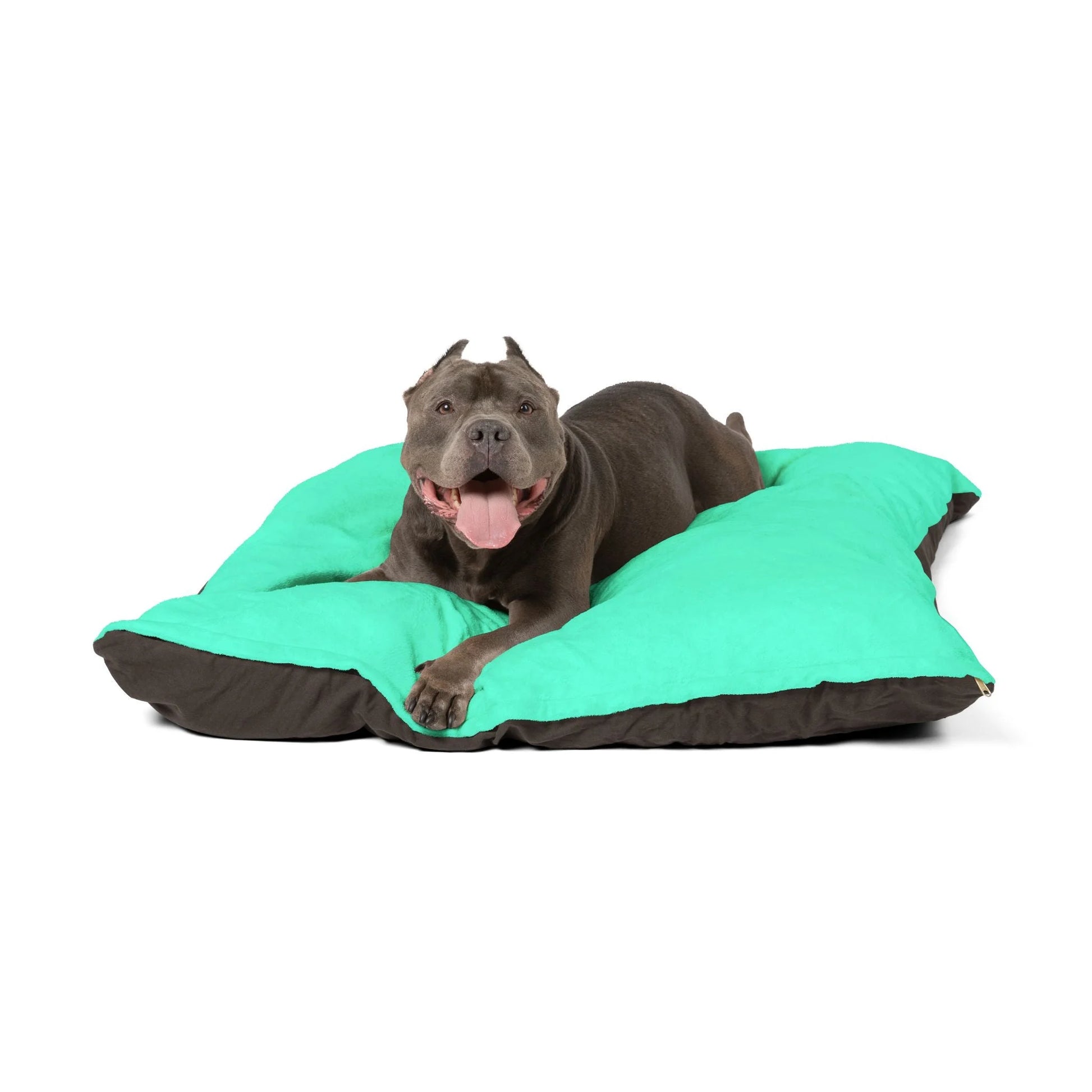 Buy The Best By Artsulli x Color Printify - Pet Bed - 2026