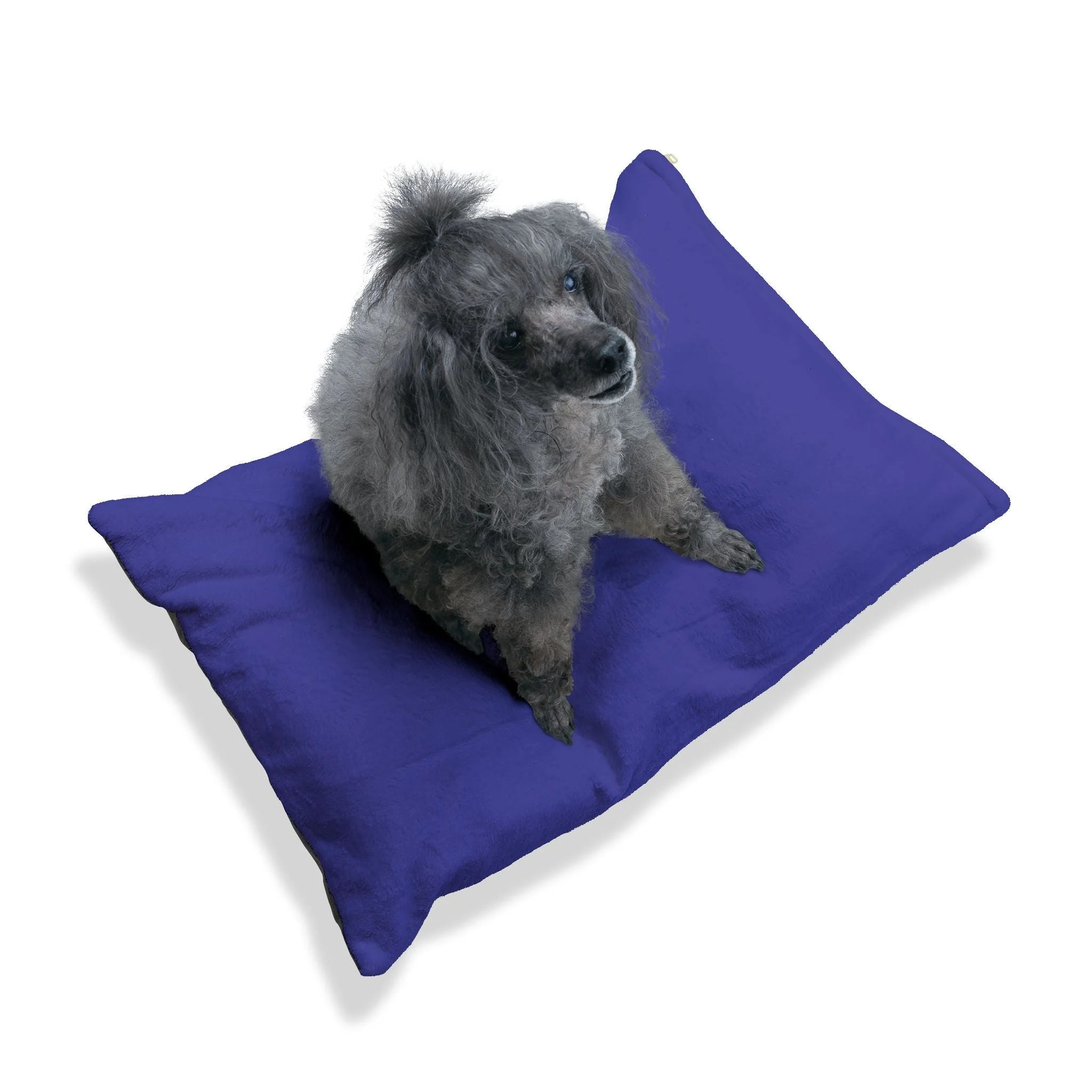 Buy The Best By Artsulli x Color Printify - Pet Bed - 2026