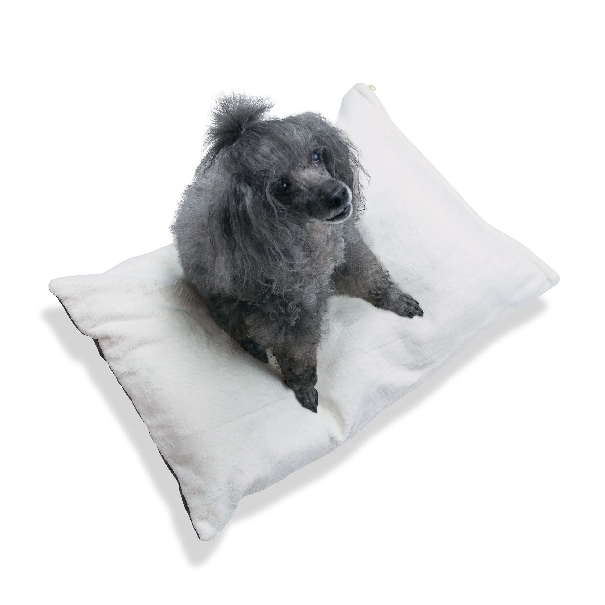 Buy The Best By Artsulli x Color Printify - Pet Bed - 2026
