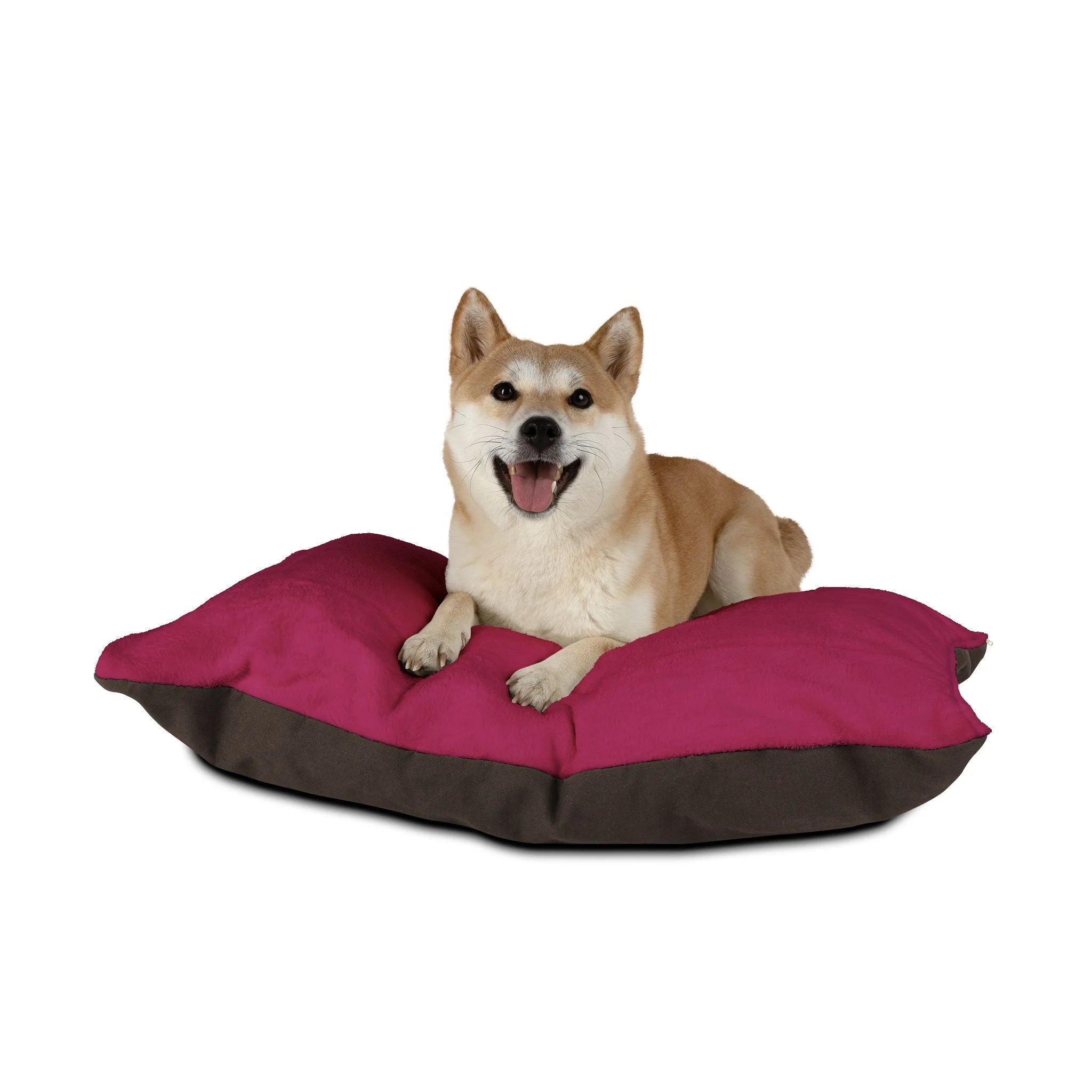 Buy The Best By Artsulli x Color Printify - Pet Bed - 2026