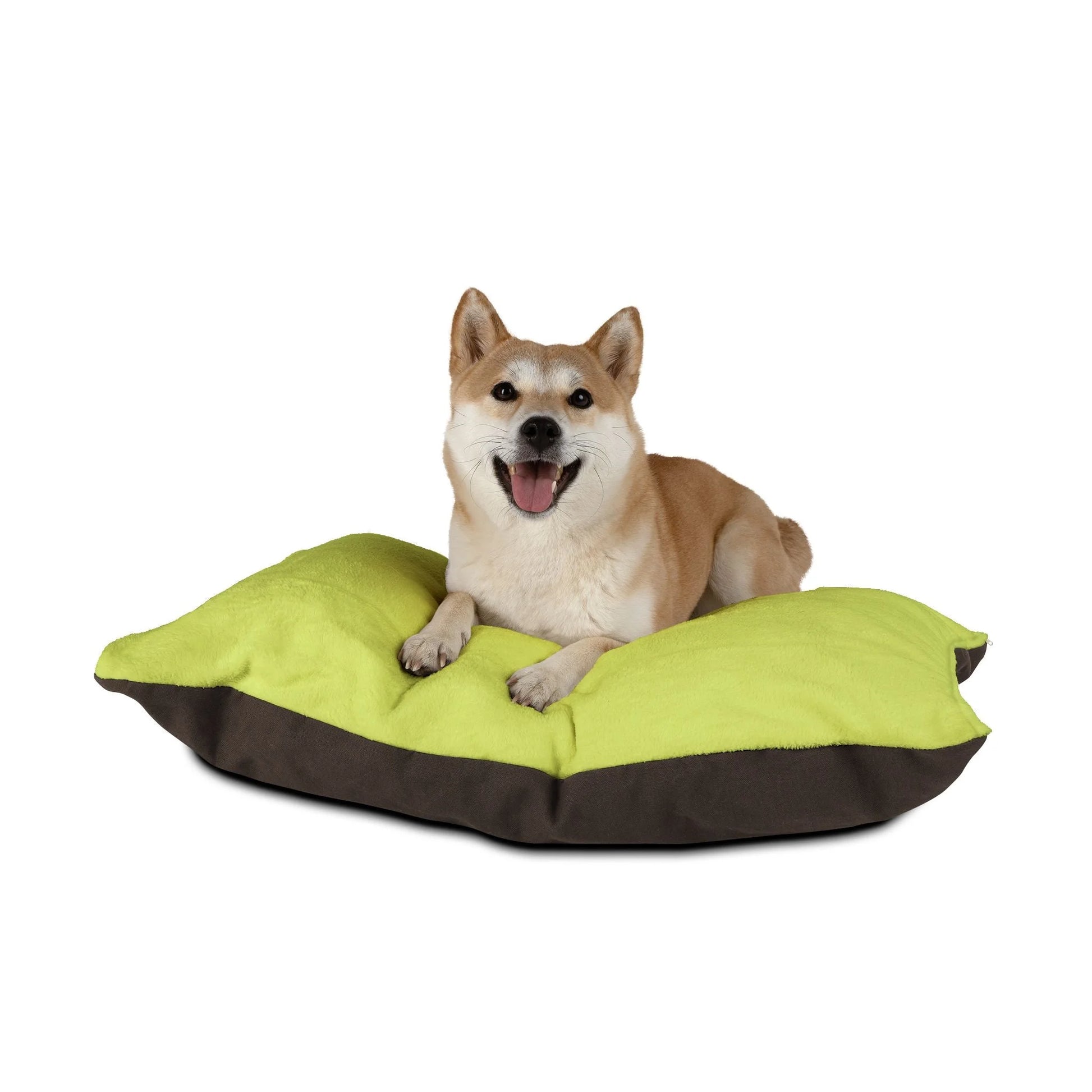 Buy The Best By Artsulli x Color Printify - Pet Bed - 2026