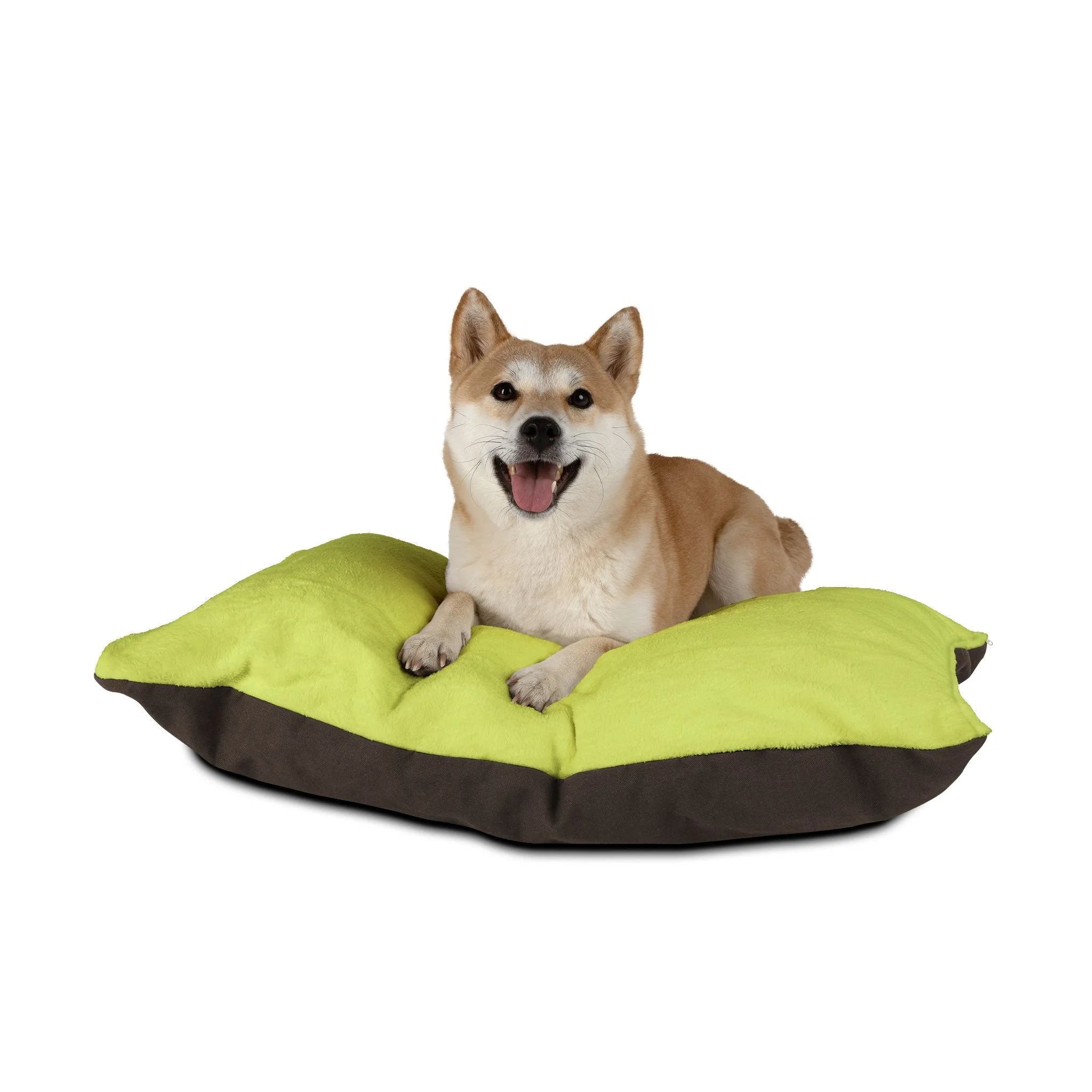 Buy The Best By Artsulli x Color Printify - Pet Bed - 2026
