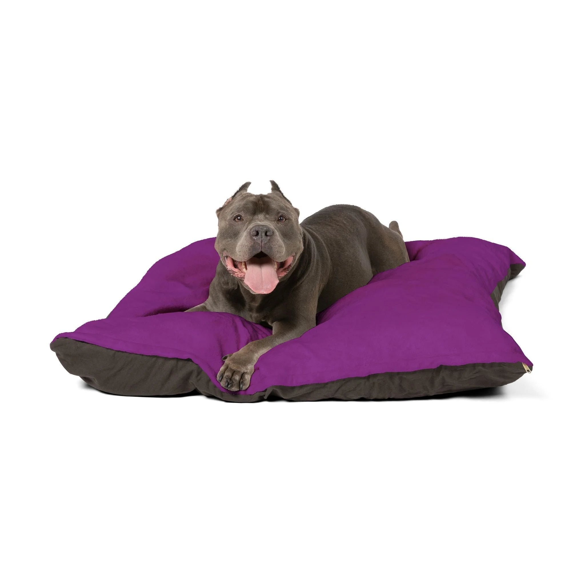 Buy The Best By Printify - Pet Bed - 2026