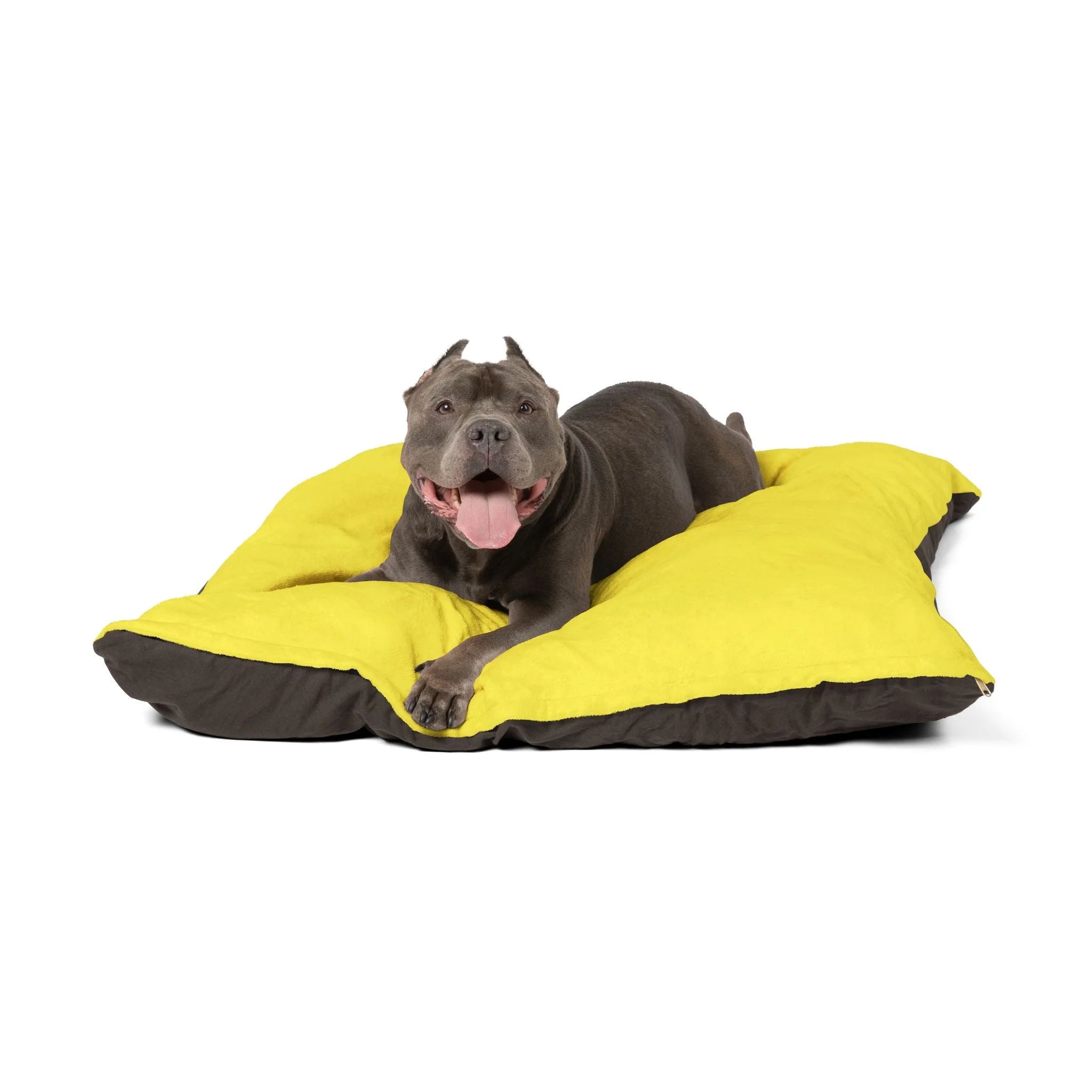Buy The Best By Artsulli x Color Printify - Pet Bed - 2026