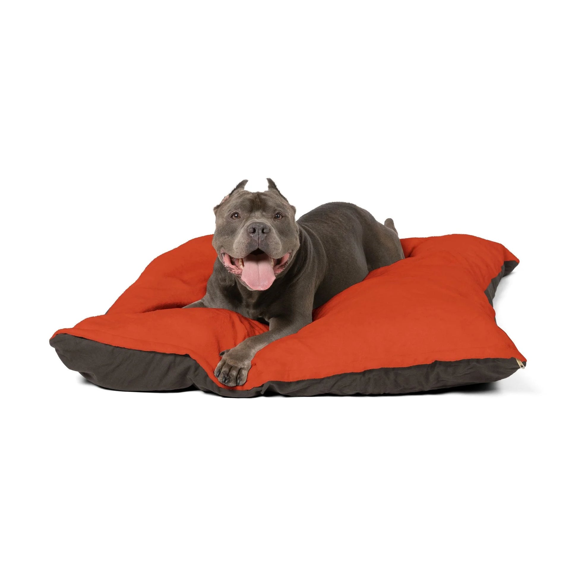 Buy The Best By Artsulli x Color Printify - Pet Bed - 2026