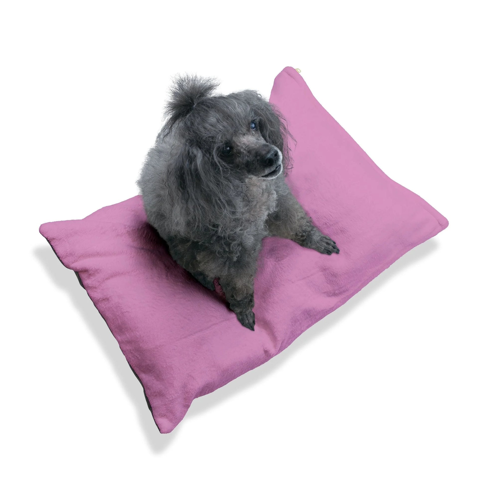Buy The Best By Artsulli x Color Printify - Pet Bed - 2026
