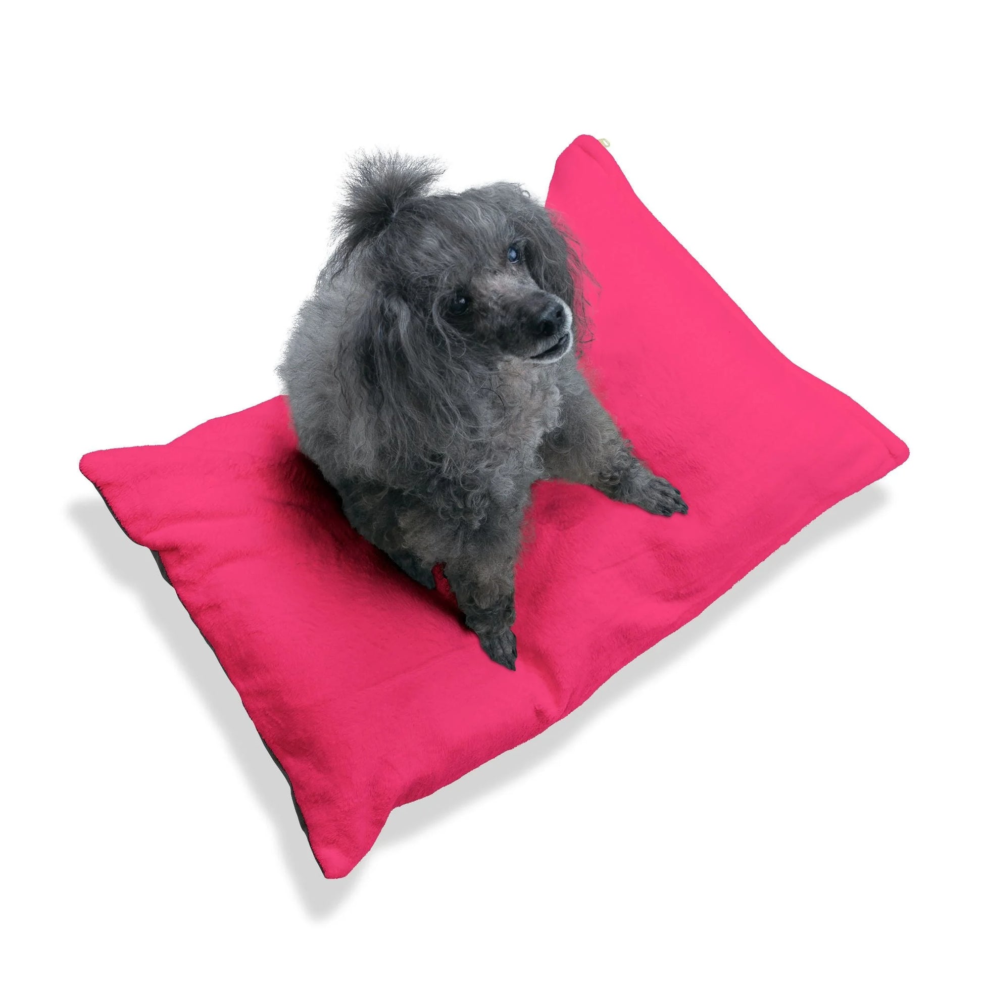 Buy The Best By Artsulli x Color Printify - Pet Bed - 2026