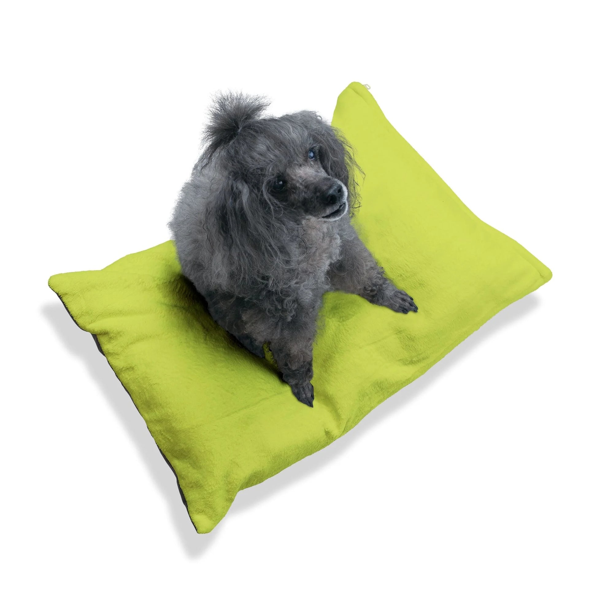Buy The Best By Artsulli x Color Printify - Pet Bed - 2026