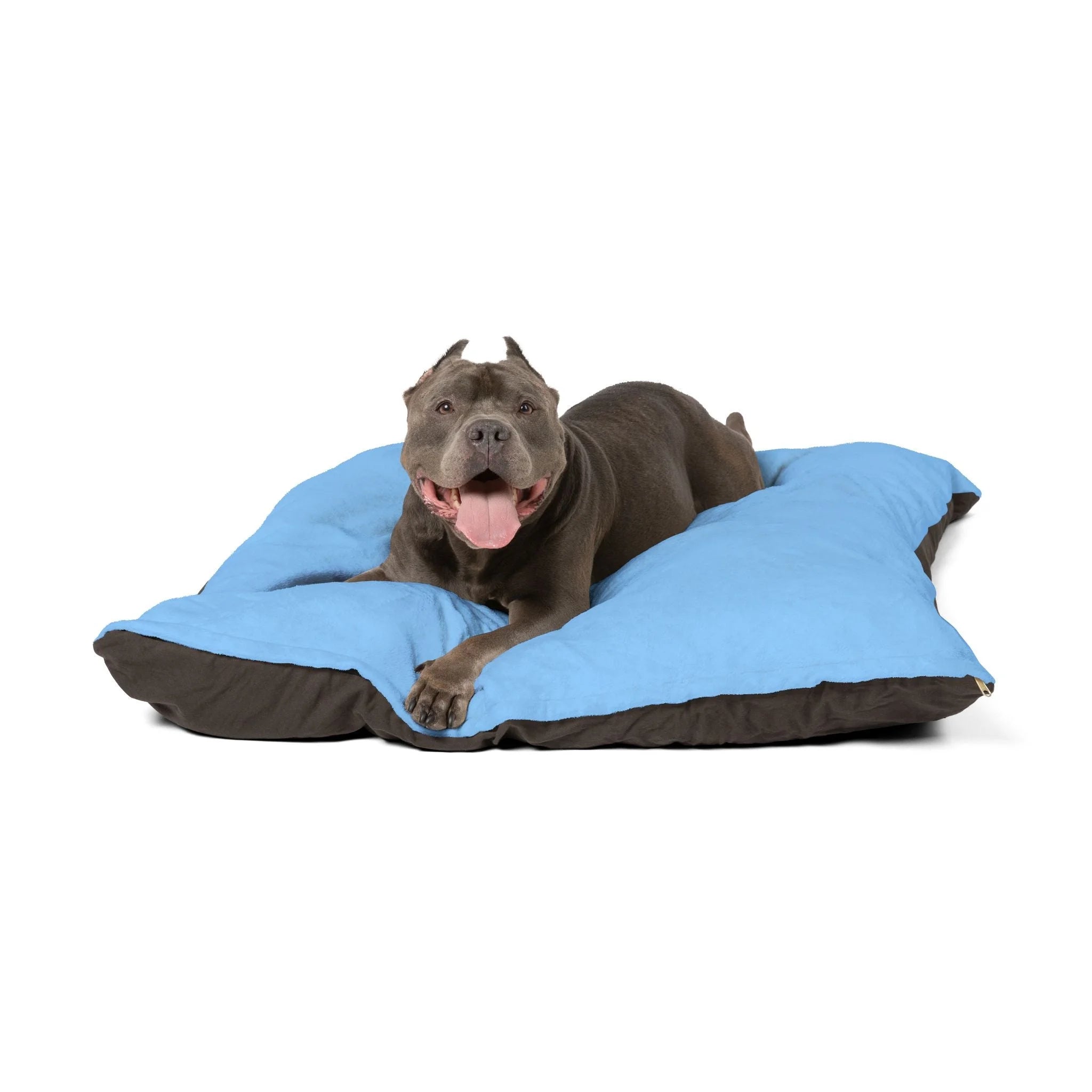 Buy The Best By Artsulli x Color Printify - Pet Bed - 2026