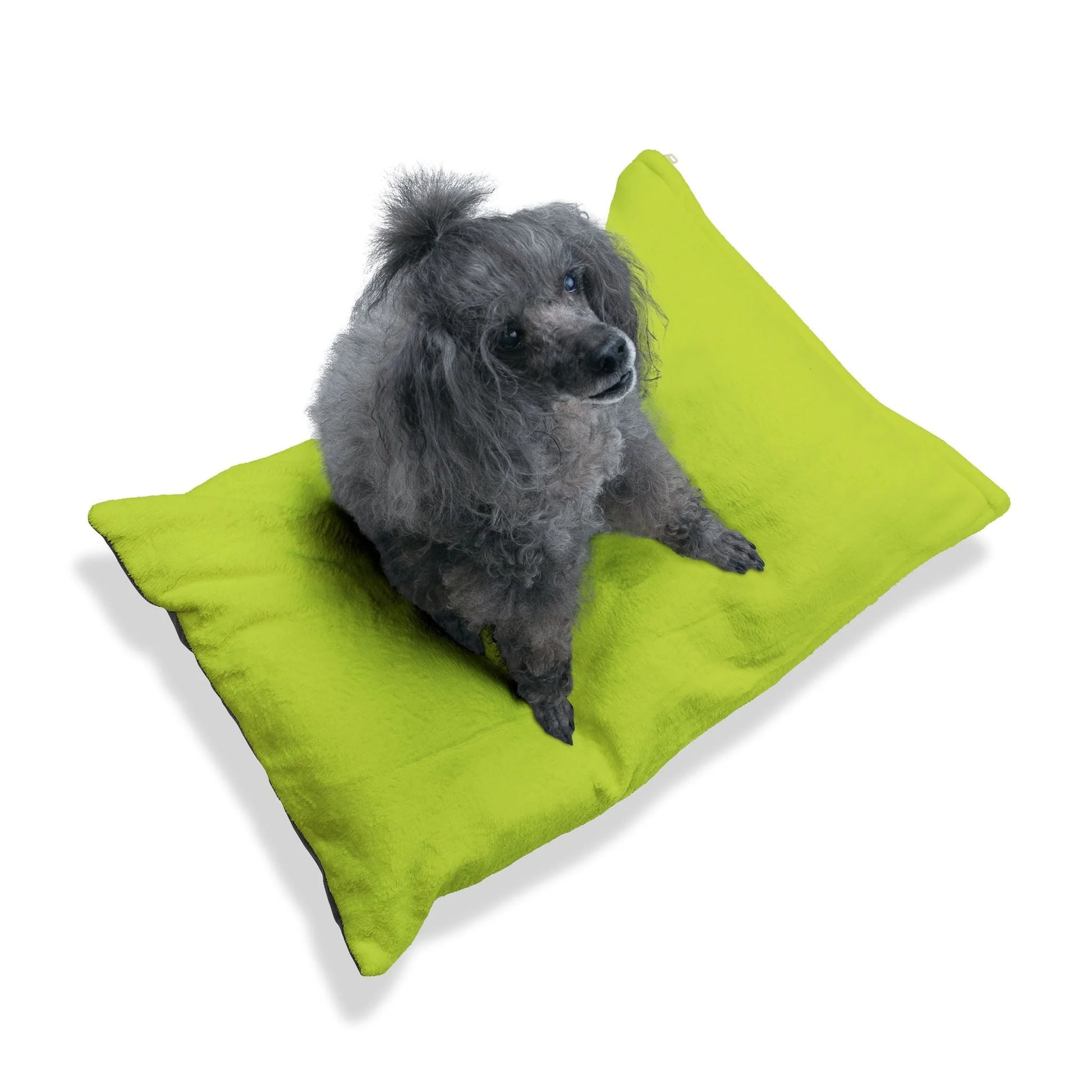 Buy The Best By Artsulli x Color Printify - Pet Bed - 2026