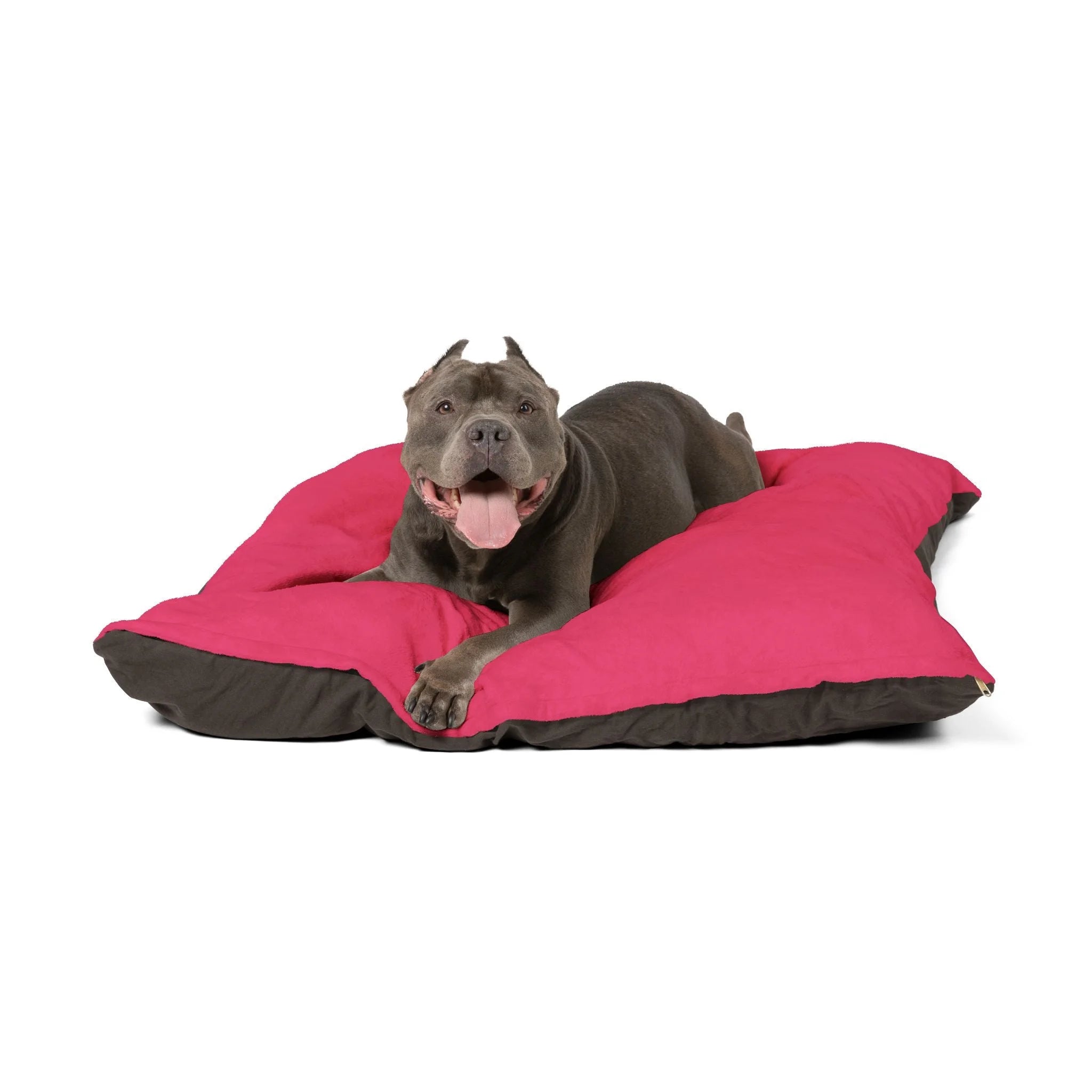 Buy The Best By Artsulli x Color Printify - Pet Bed - 2026
