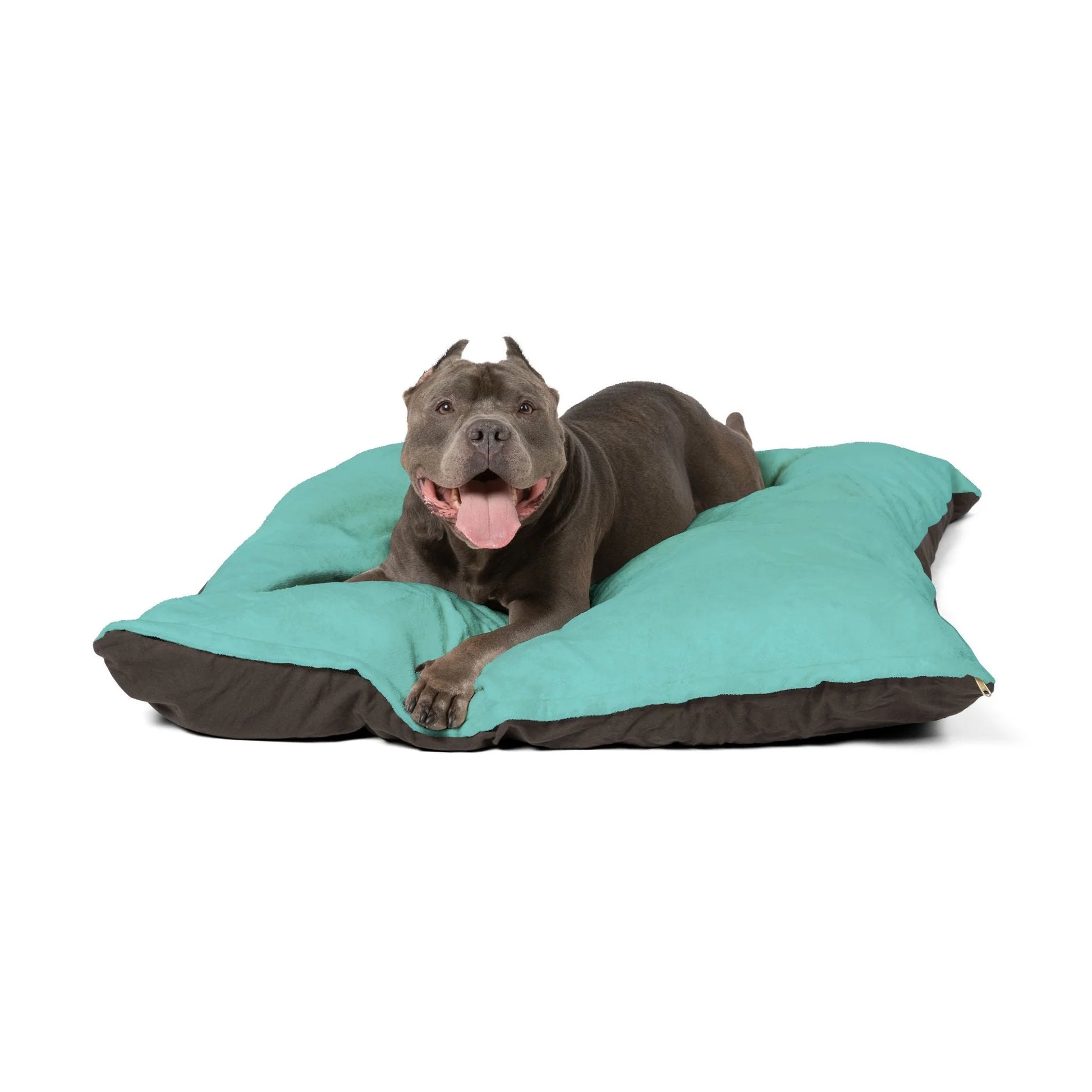 Buy The Best By Artsulli x Color Printify - Pet Bed - 2026