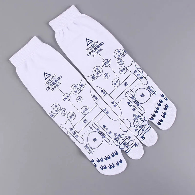 Buy The Best By Artsulli - Art is Long Life Short - 1pair Acupoint Massage Socks Cotton Illustration Acupuncture Points Health Care